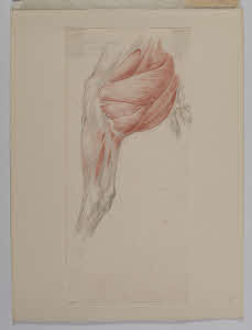 Visualizza l'immagine "Au. B 413"